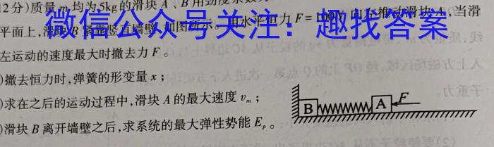 2024~2023学年度高三年级第五次模拟考试(5月)q物理