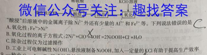 安徽省2024-2023学年度第一学期八年级期末学习评价化学