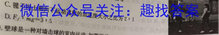 江西省2023年初中学业水平考试冲刺练习(二)q物理