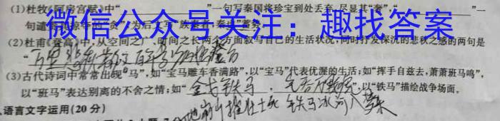 浙南三校联盟2022学年第二学期高二年级期末联考语文