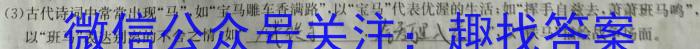 重庆市第八中学2022-2023学年下学期高2024届7月考试语文