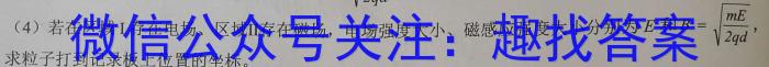 河南省2022~2023年度下学年高二年级第三次联考(23-500B)f物理