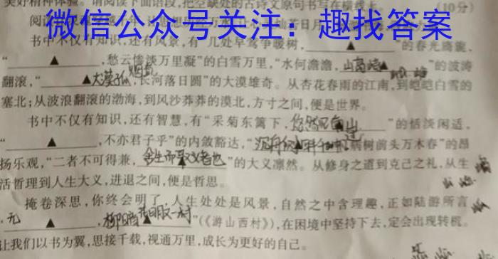 文博志鸿 2023年河南省普通高中招生考试模拟试卷(压轴二)语文