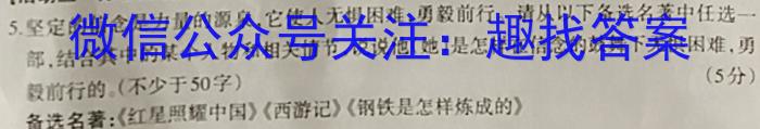 文博志鸿 2023年河南省普通高中招生考试模拟试卷(压轴二)语文