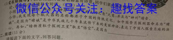 2024届名师原创分科模拟 新S4(三)语文