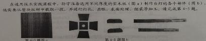 2023-2024衡水金卷先享题高三一轮周测卷新教材英语必修一Unit1周测(1)政治y