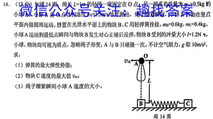九师联盟2022~2023学年高二摸底联考巩固卷（LG）z物理