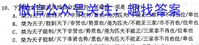 2023年临沂市初中学业水平考试二轮模拟试题语文