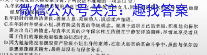 合肥工大附中2023届高三最后一卷语文
