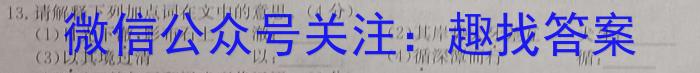 2023年普通高等学校招生全国统一考试精品预测卷(四)4语文