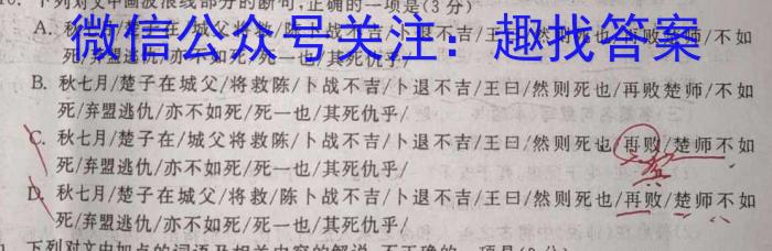 安徽省C20教育联盟2023年中考最后典题卷(二)语文