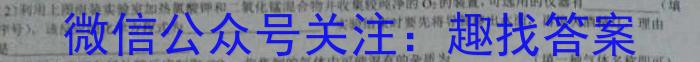 陕西学林教育 2024~2023学年度第二学期八年级期末调研试题(卷)化学