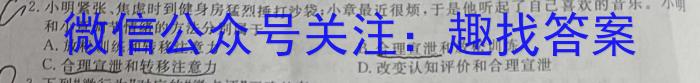 山西省2022-2023学年七年级下学期期末综合评估（8LR-SHX）地.理