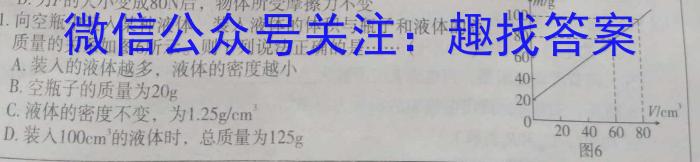 九师联盟2024—2023学年高二下学期6月摸底考试（L）q物理
