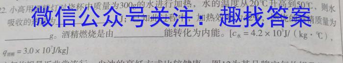 一步之遥 2023年河北省初中毕业生升学文化课考试模拟考试(十四)z物理