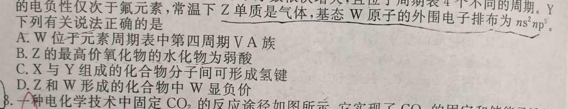 2023年陕西省初中学业水平考试全真模拟押题卷(二)化学