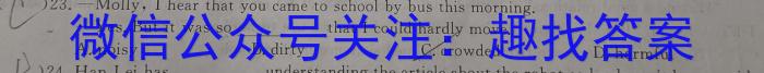 陕西省2023年九年级教学质量检测A（黑色◇）英语