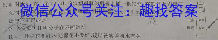 河南省2022~2023学年度八年级下学期期末综合评估 8L HEN化学