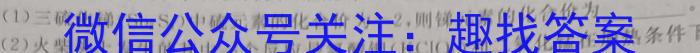 广西省2023春季学期八年级期末学业水平调研化学