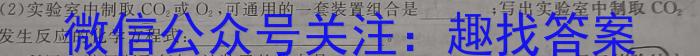 长沙市第一中学2024-2023学年度高一第二学期第二次阶段性考试化学