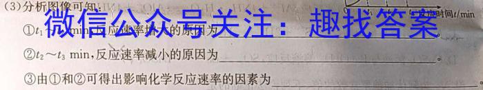 非凡吉创·2024-2023下学年高三年级TOP二十名校猜题大联考(二)化学