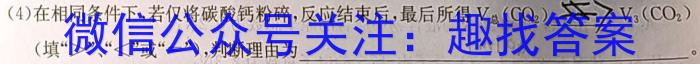 2023年陕西省初中学业水平考试信息卷(C)化学