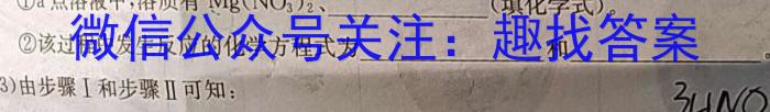 山西省2024-2023学年七年级下学期期末质量监测（23-CZ271a）化学