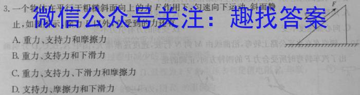 陕西省2022~2023学年度七年级下学期阶段评估(二) 7L R-SXl物理