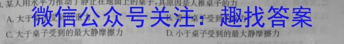 2023年陕西省初中学业水平考试信心提升卷（A）物理`