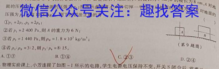 河南省2022~2023学年度七年级下学期期末综合评估 8L HEN.物理