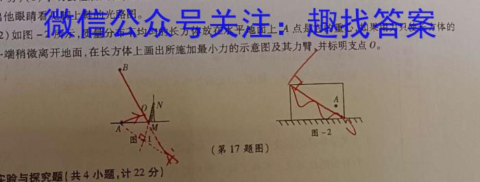 陕西省2022级高一年级期末联考（6月）f物理