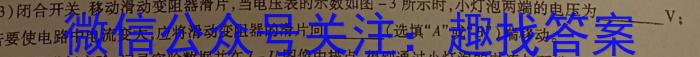 2024届准高三6月摸底考(新高考卷)(新教材)z物理