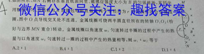 伯乐马 2023年普通高等学校招生新高考模拟考试(九)z物理