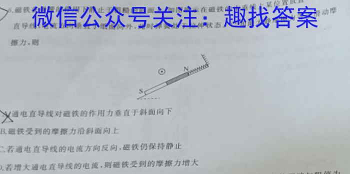 天一大联考 2023年九年级考前定位考试物理`