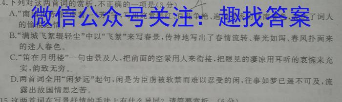 河南省2022-2023学年高中二年级下学期学业质量监测(2023.6)语文