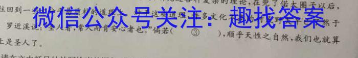 2024届名师原创分科模拟 新S4(一)语文