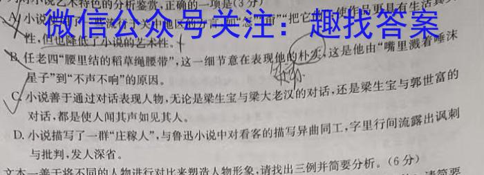 2023届河南省高三年级5月联考（6001C·HEN）语文