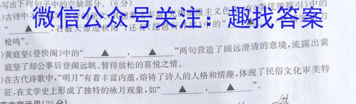 1号卷·2023年A10联盟高一年级(2024级)下学期期末考试语文