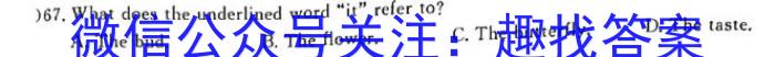 九师联盟2022—2023学年高二下学期6月摸底考试（L）英语