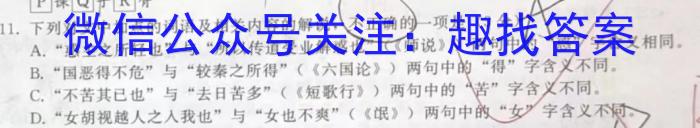 安徽省2022-2023学年度八年级第二学期期末教学质量监测A语文