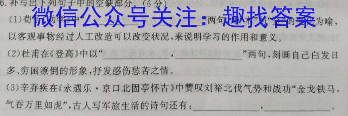 贵州省2023年高二年级6月联考（23-503B）语文