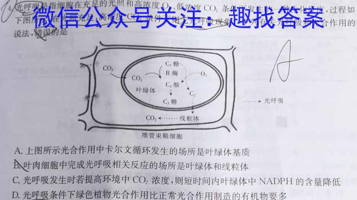 岳阳市2023年高二教学质量监测(6月)生物