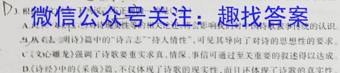 陕西省2023年九年级模拟检测卷B（正方形套菱形）语文