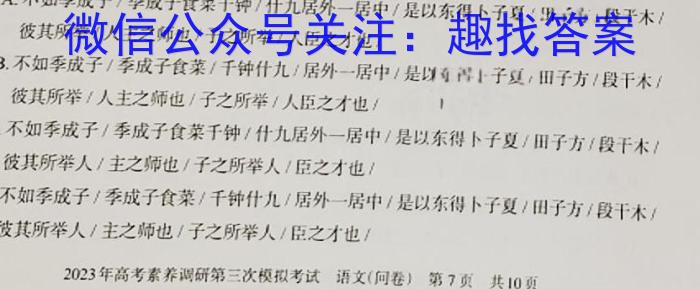 河南省2023年春期高中二年级期终质量评估语文