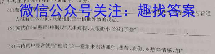 湖北省2024~2023学年度高一6月份联考(23-471A)语文