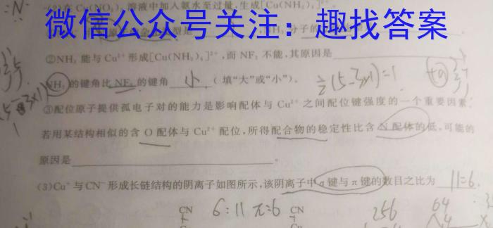 2023年陕西省初中学业水平考试全真模拟押题卷(一)化学