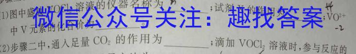 文博志鸿 2023年河北省初中毕业生升学文化课模拟考试(冲刺二)化学
