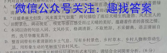 陕西省2023年高一年级期末考试质量监测（☆）语文