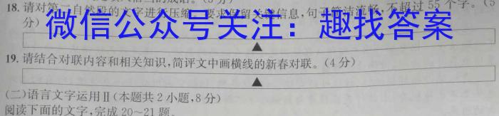 安徽省安庆市2023届初三毕业班模拟考试（二模）【第二中学】语文