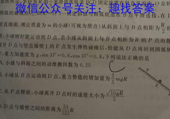 龙岩市2024-2023学年第二学期期末高一教学质量检查q物理